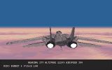 [F-14 Fleet Defender - скриншот №6]