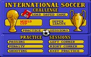 International Soccer Challenge