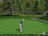 [Microsoft Golf 1998 Edition - скриншот №8]