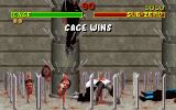 [Mortal Kombat - скриншот №24]
