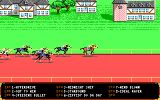 [Omni-Play Horse Racing - скриншот №3]