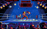 [Panza Kick Boxing - скриншот №16]