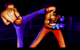 [Panza Kick Boxing - скриншот №19]
