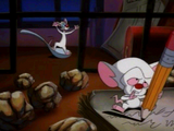 [Скриншот: Pinky and The Brain: World Conquest]