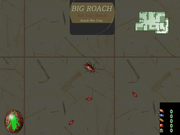 Roach War