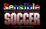 [Sensible Soccer: European Champions: 92/93 Edition - скриншот №1]