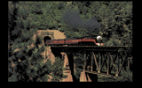[Sid Meier's Railroad Tycoon Deluxe - скриншот №11]