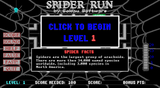 [Spider Run - скриншот №1]