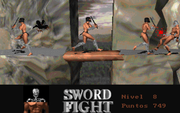 Sword Fight