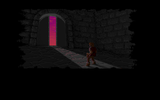 [Ultima Underworld: The Stygian Abyss - скриншот №10]