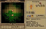 [Worlds of Ultima: The Savage Empire - скриншот №13]