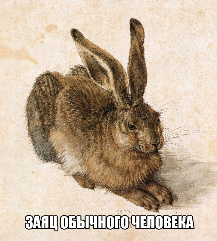 1558440_original copy.jpg