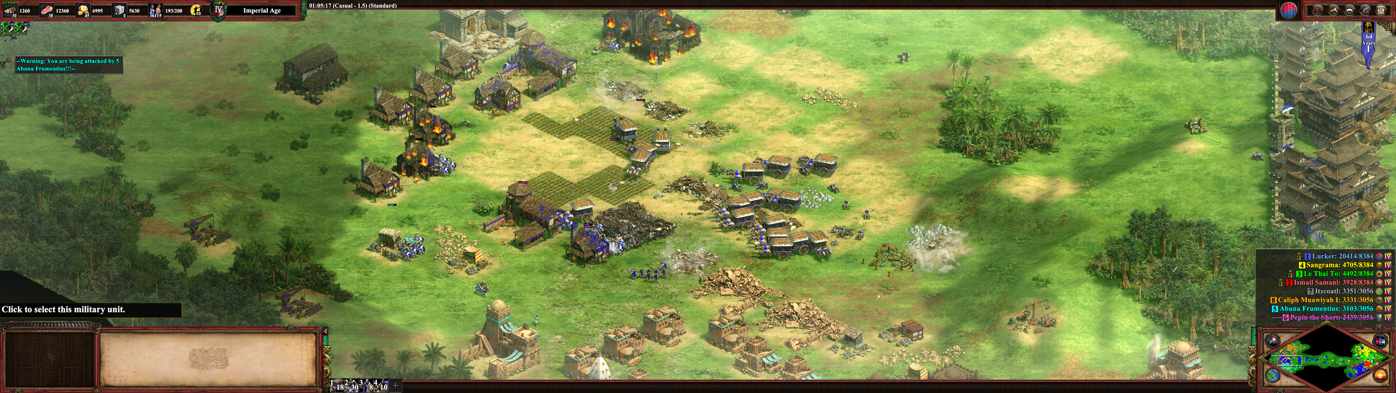 1_aoe2_1.png