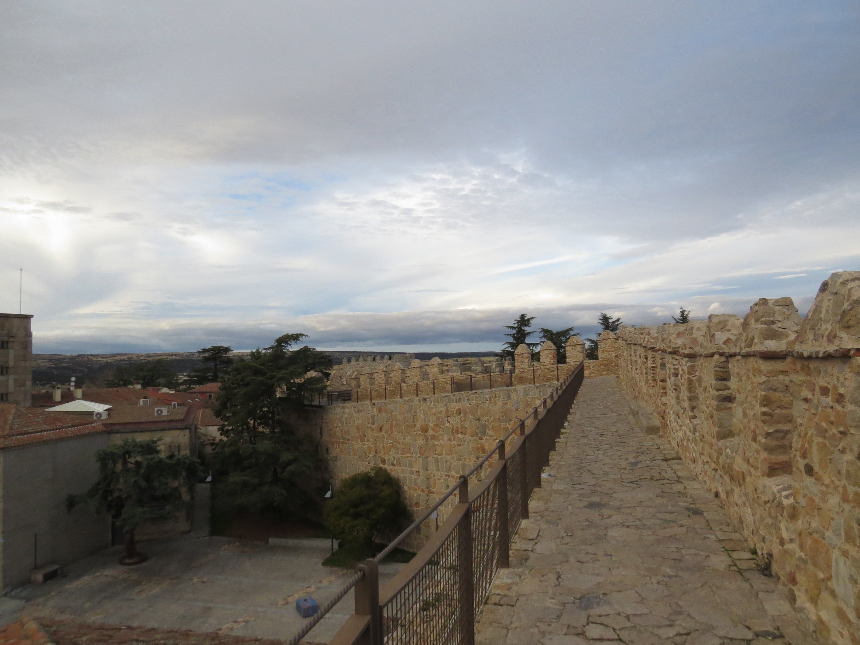 20181125_1659 IMG_3910.JPG