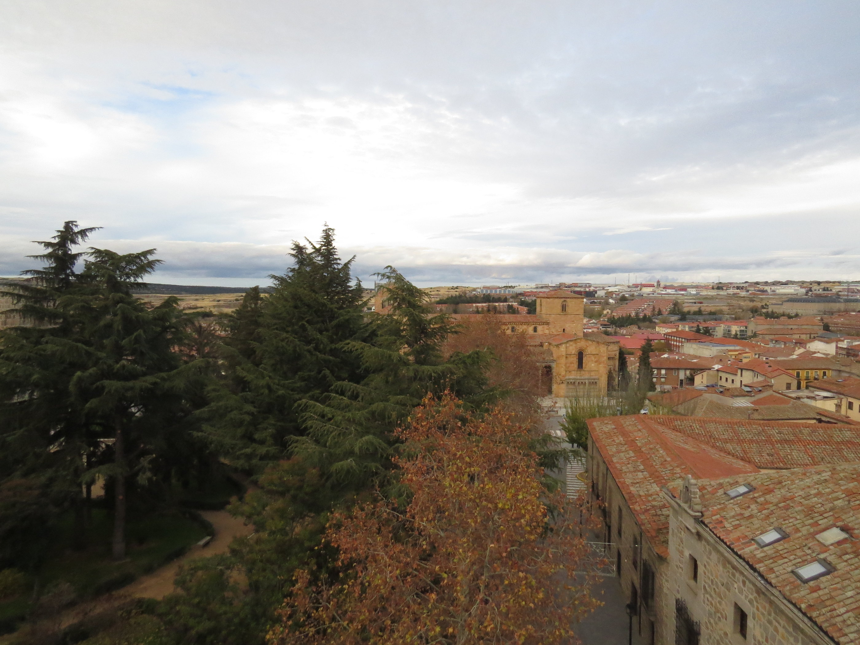 20181125_1702 IMG_3920.JPG