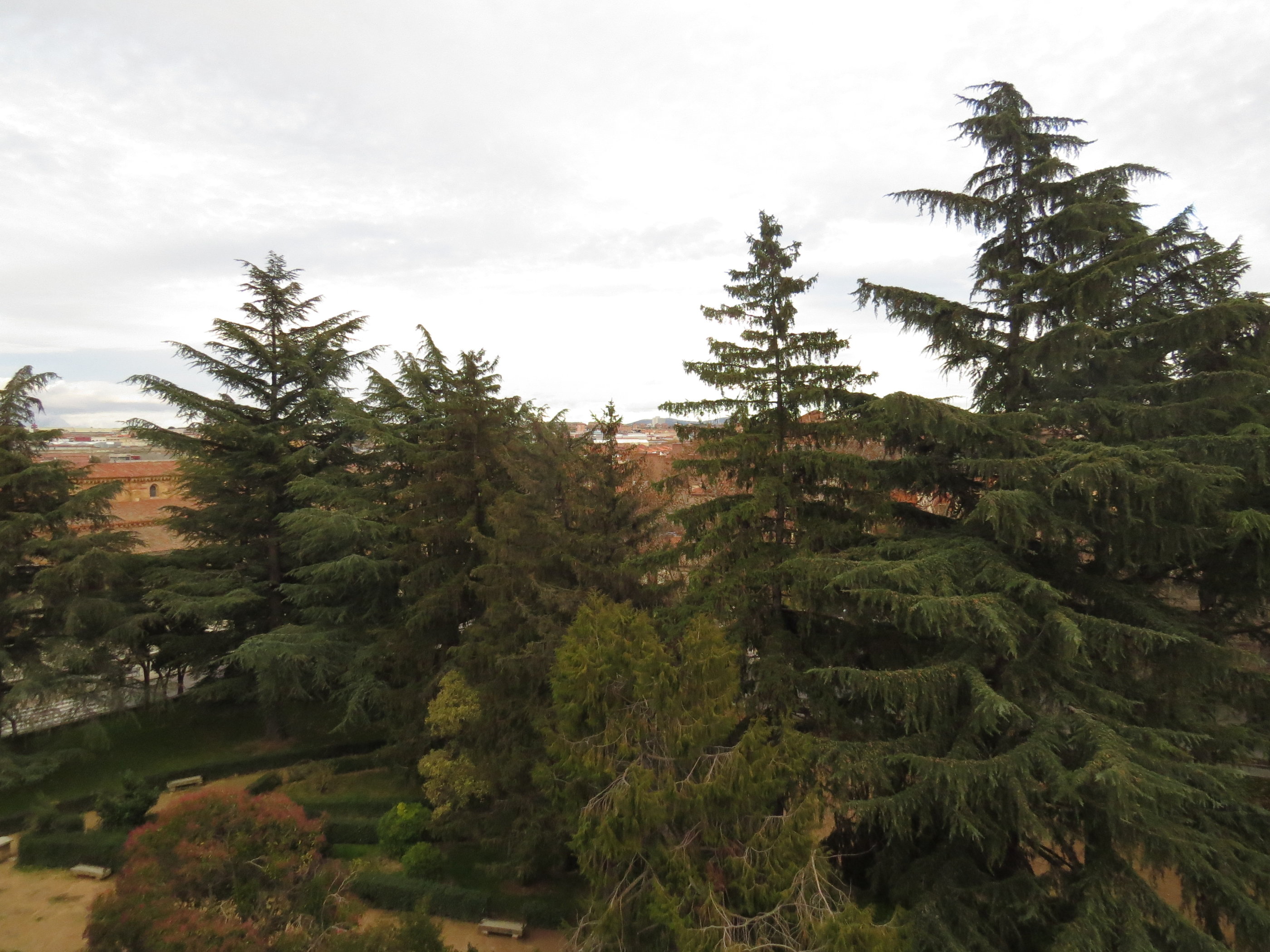 20181125_1706 IMG_3930.JPG