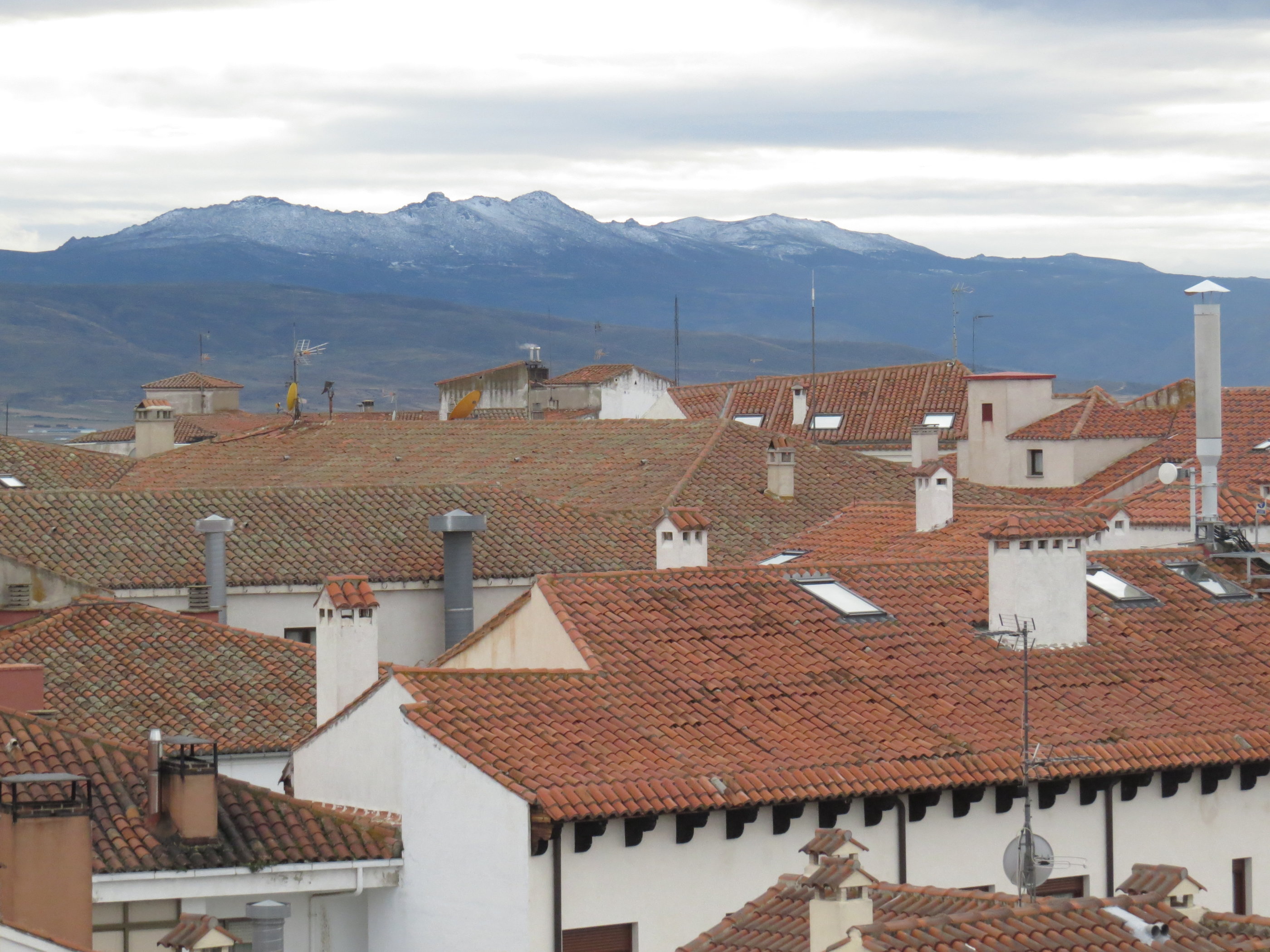 20181125_1711 IMG_3940.JPG