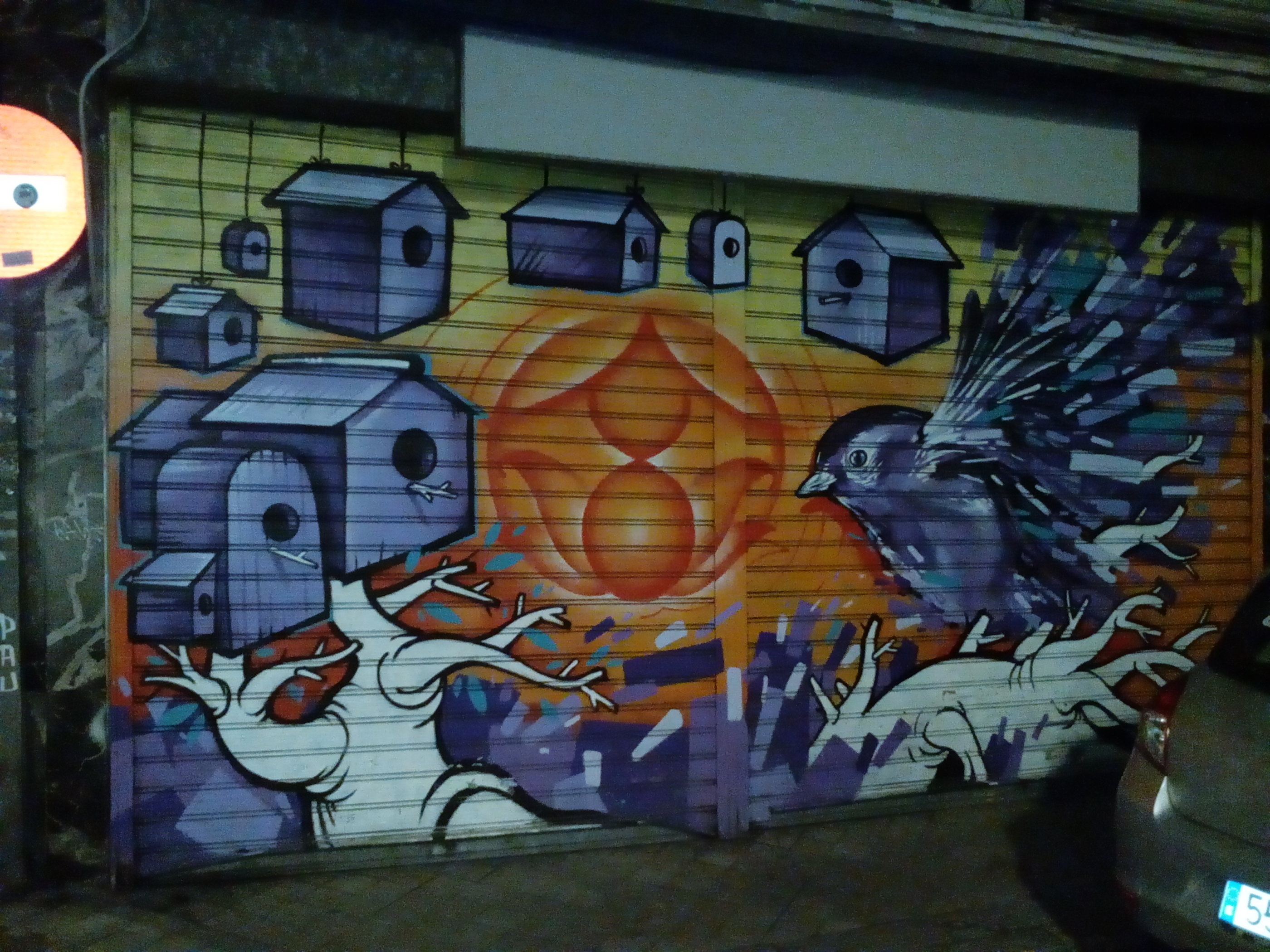 20181125_1941 IMG_20181125_213901.jpg