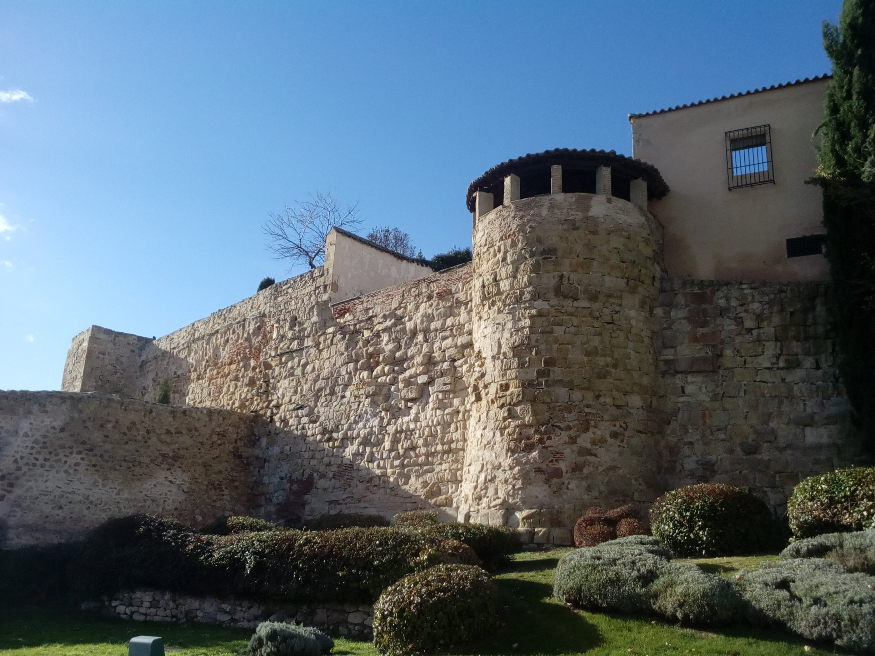 20181126_1531 IMG_20181126_173143.jpg