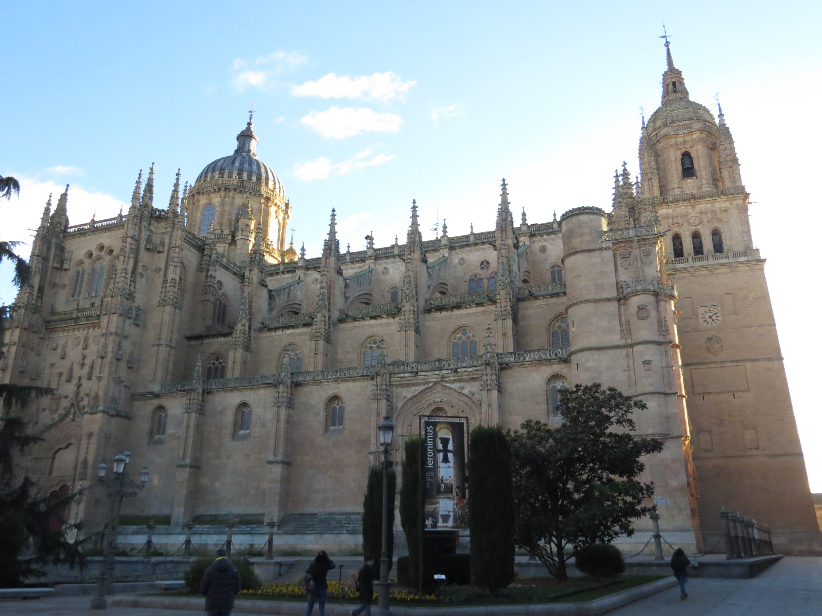 20181126_1707 IMG_3956.JPG