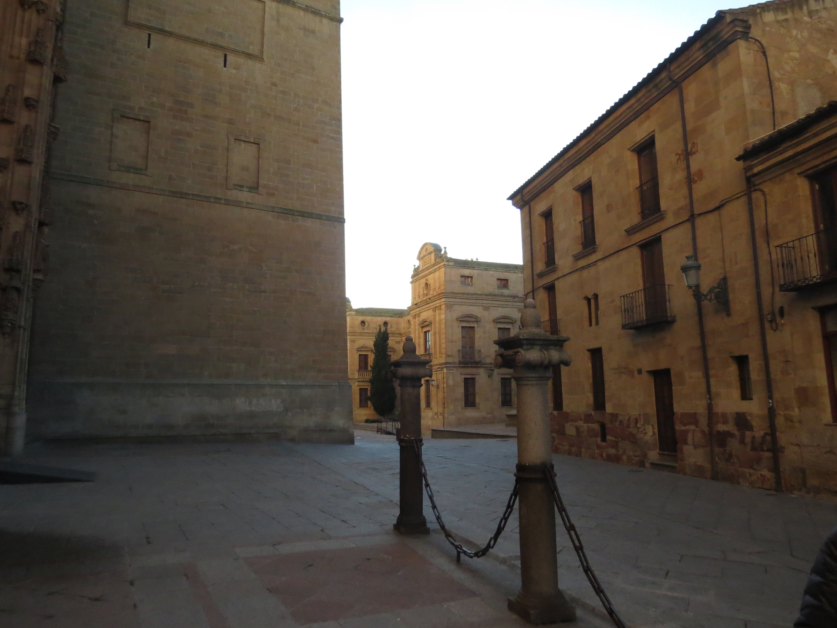 20181126_1714 IMG_3963.JPG