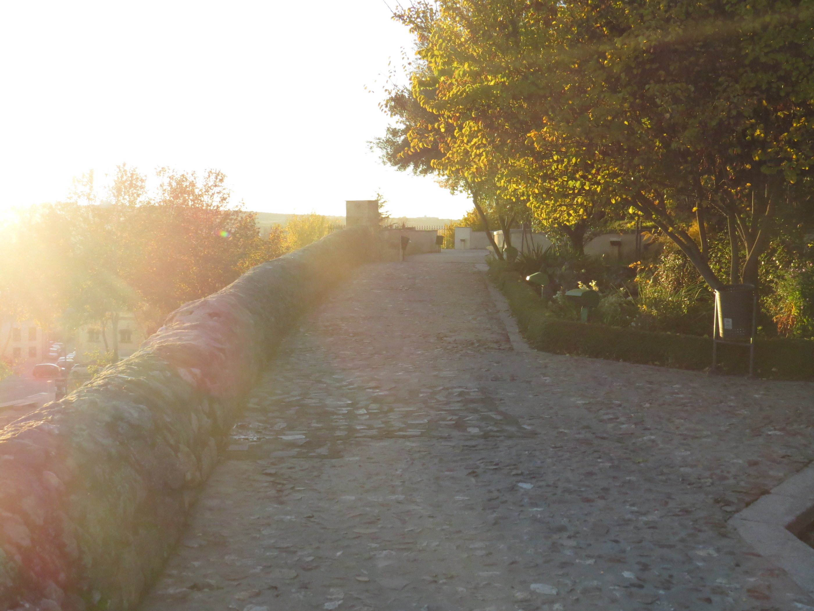 20181126_1729 IMG_3992.JPG