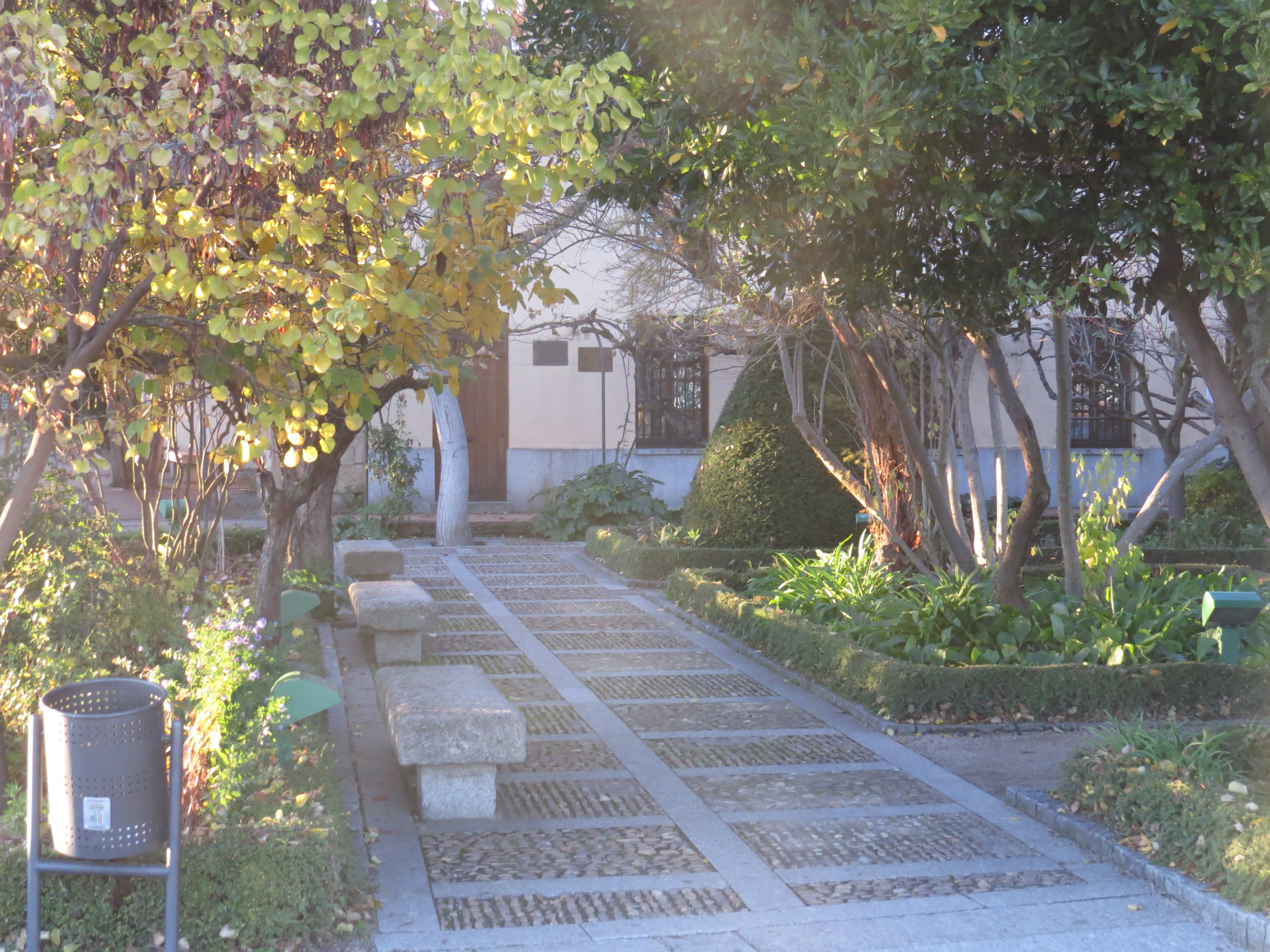 20181126_1730 IMG_3993.JPG