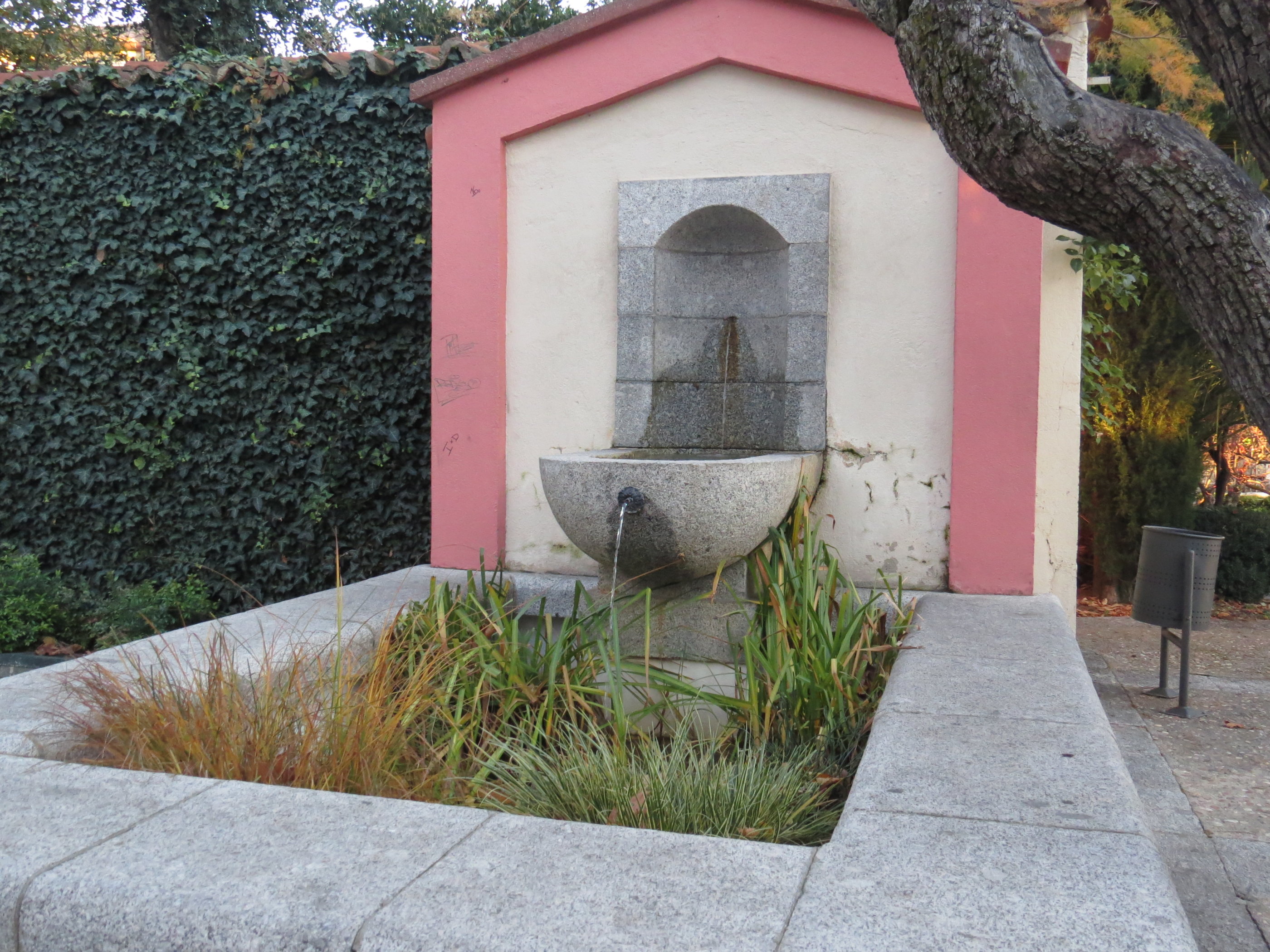 20181126_1734 IMG_4005.JPG