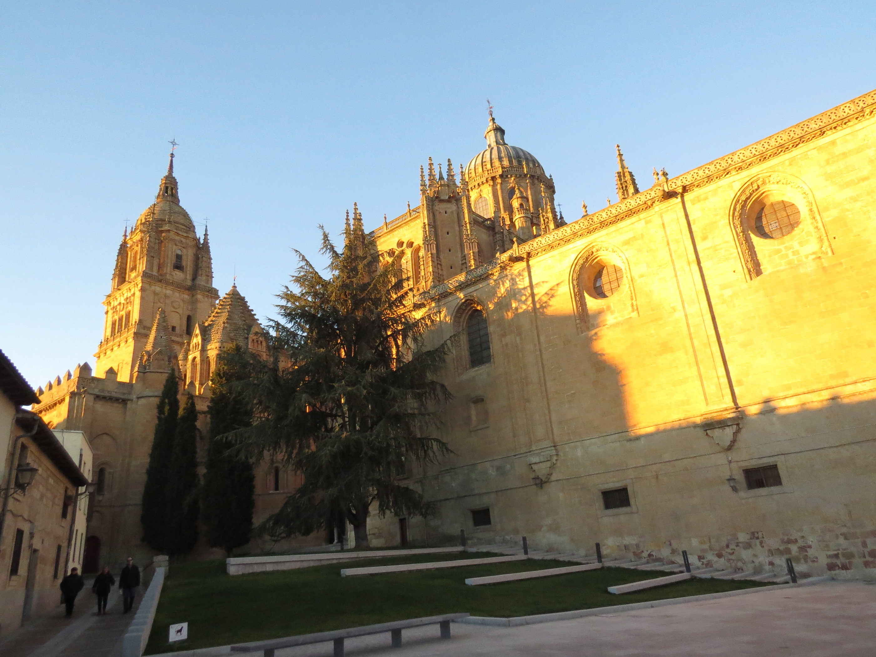 20181126_1738 IMG_4011.JPG