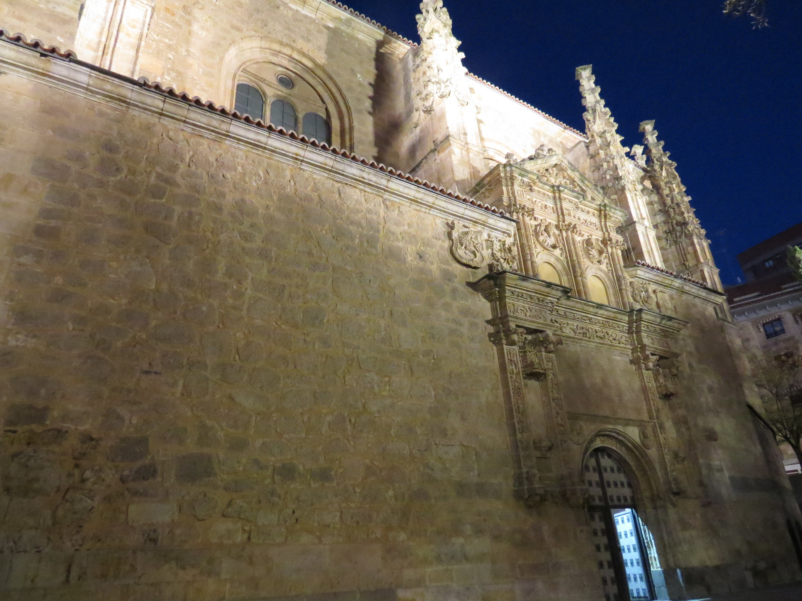 20181126_1829 IMG_4029.JPG