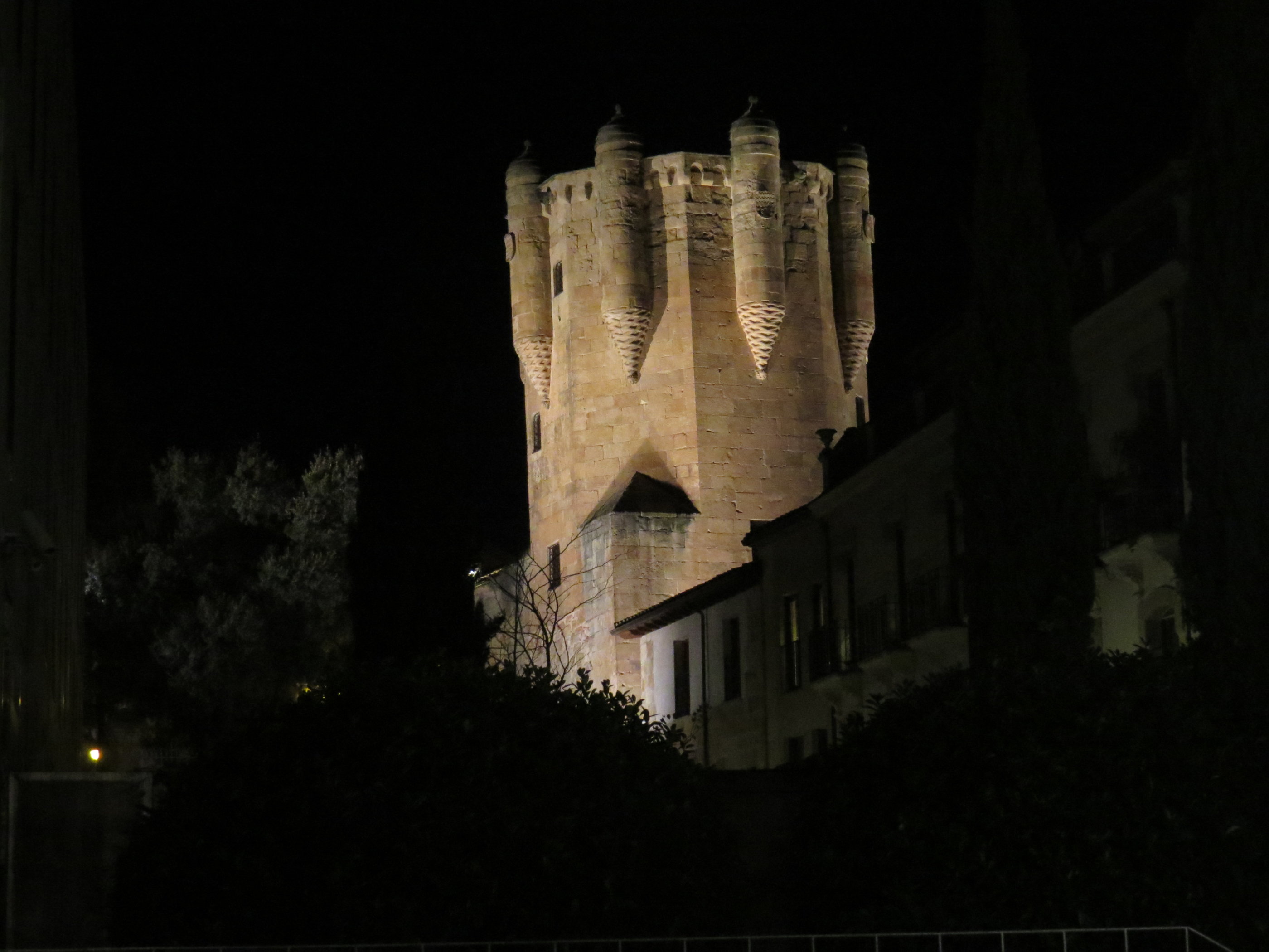 20181126_1852 IMG_4037.JPG