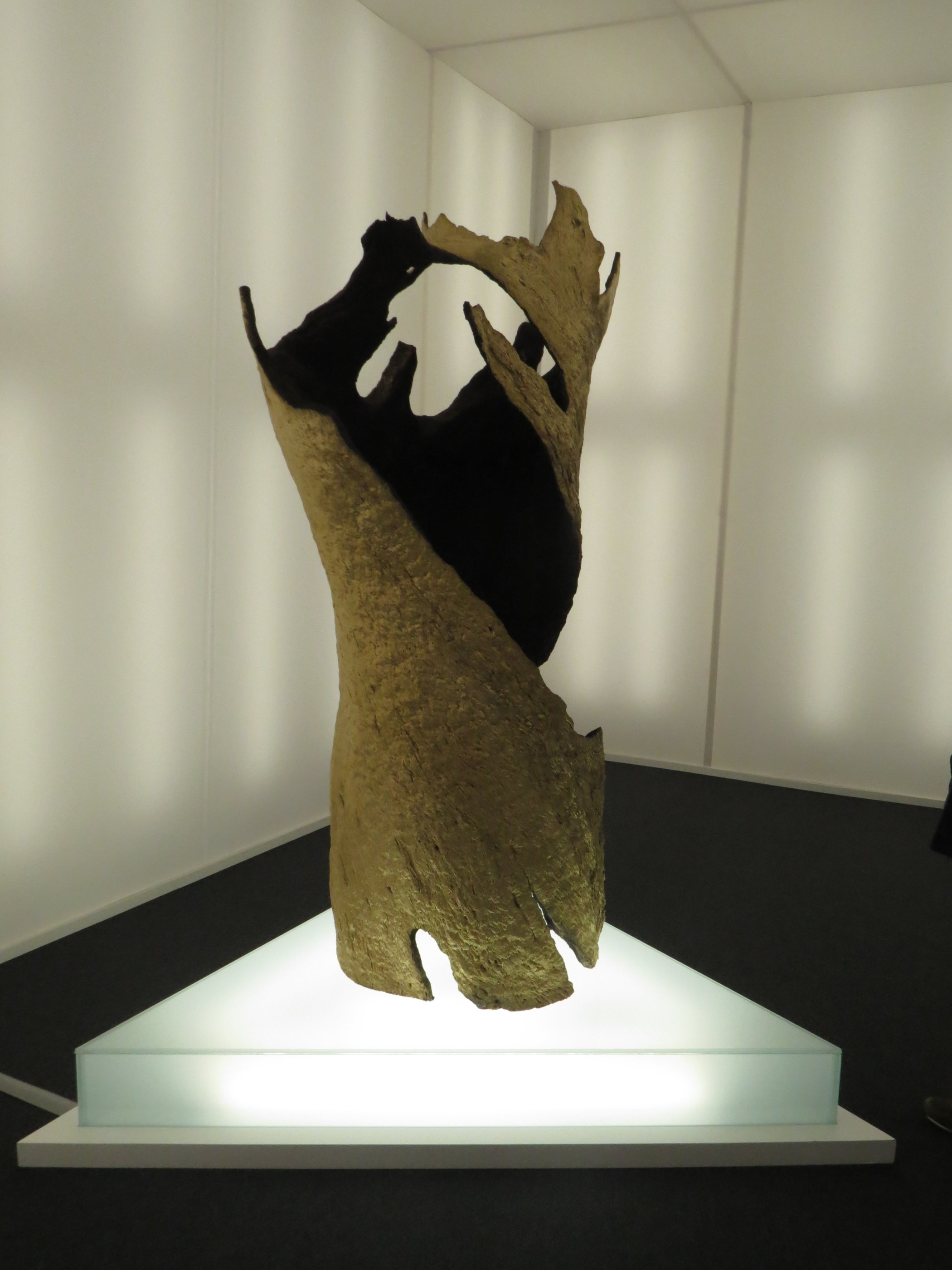 20181127_1054 IMG_4045.JPG