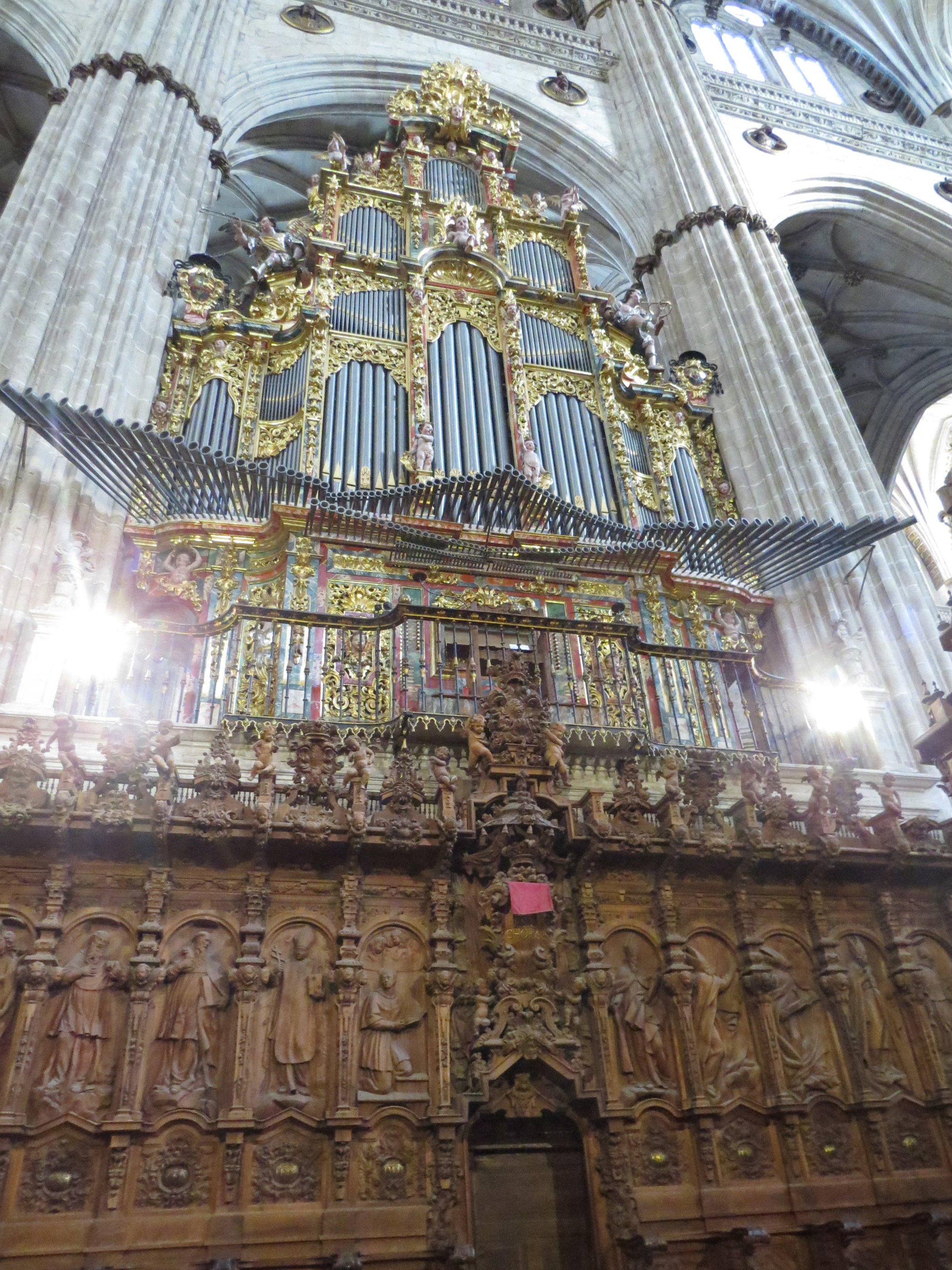 20181127_1111 IMG_4061.JPG