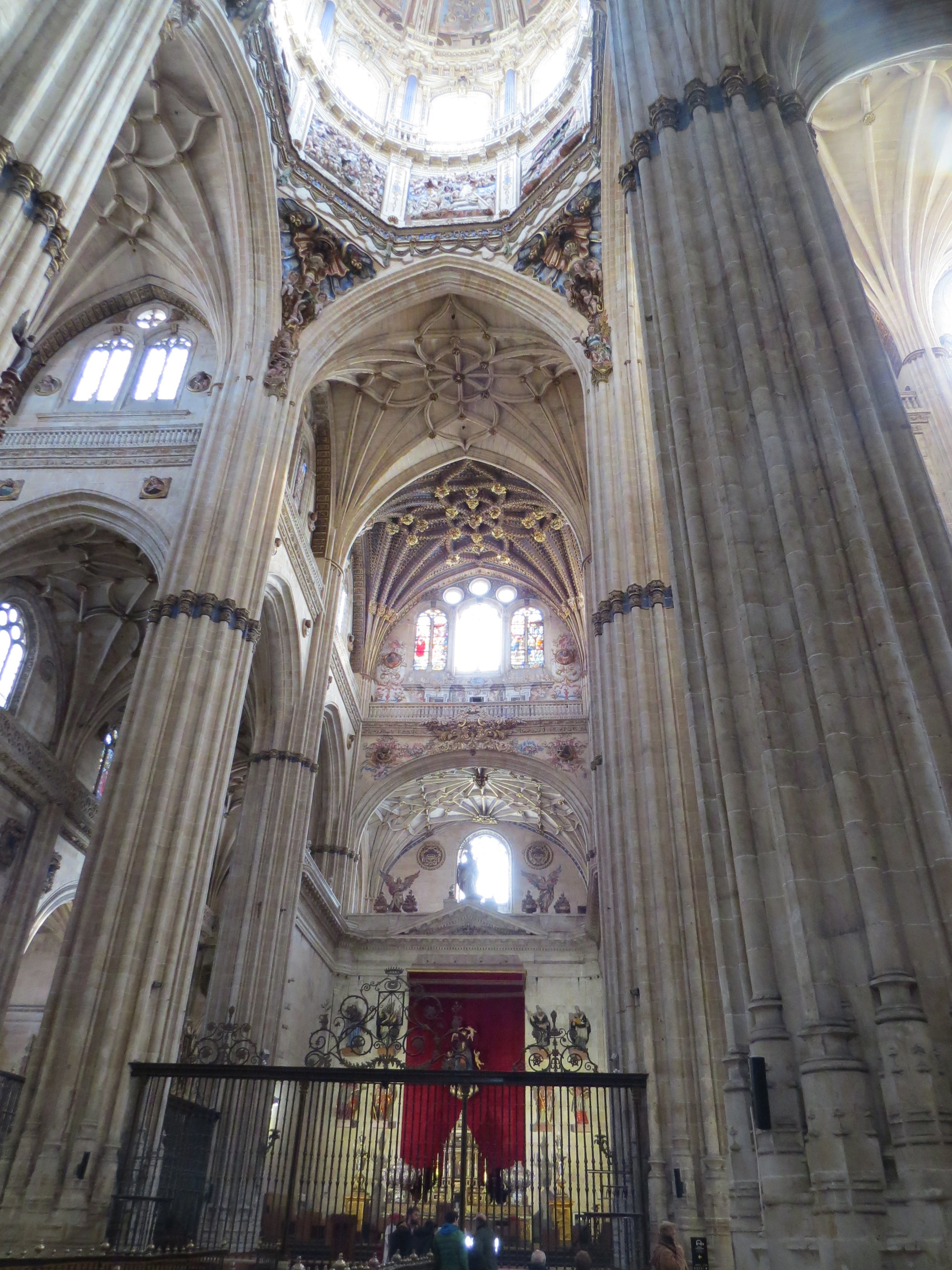 20181127_1120 IMG_4067.JPG