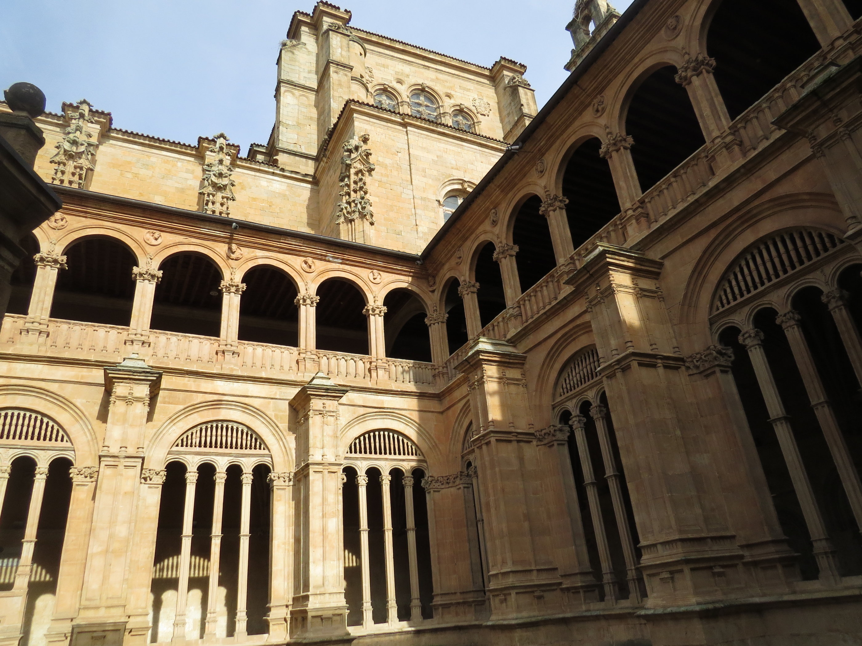 20181127_1246 IMG_4072.JPG