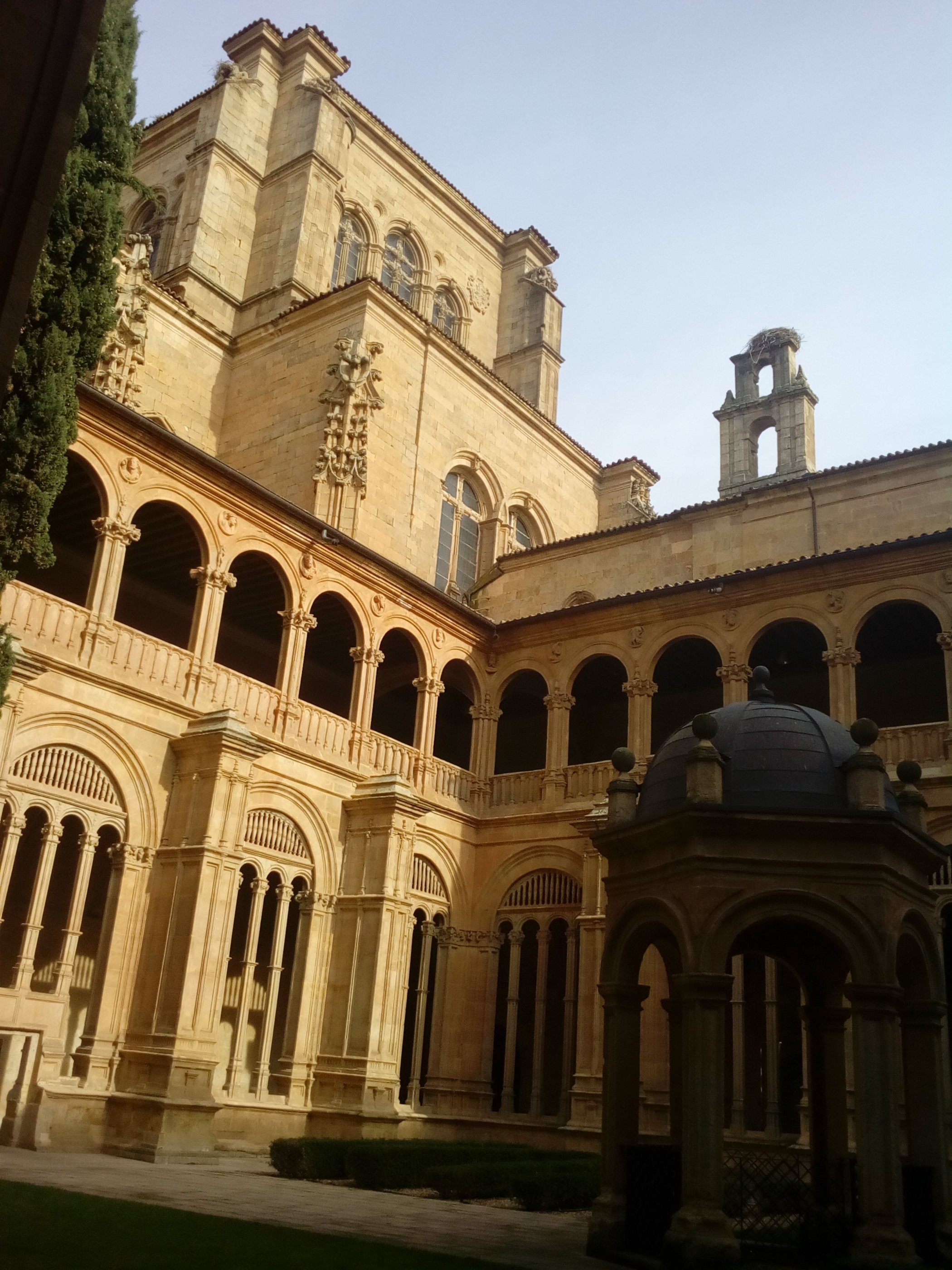 20181127_1252 IMG_20181127_145228.jpg