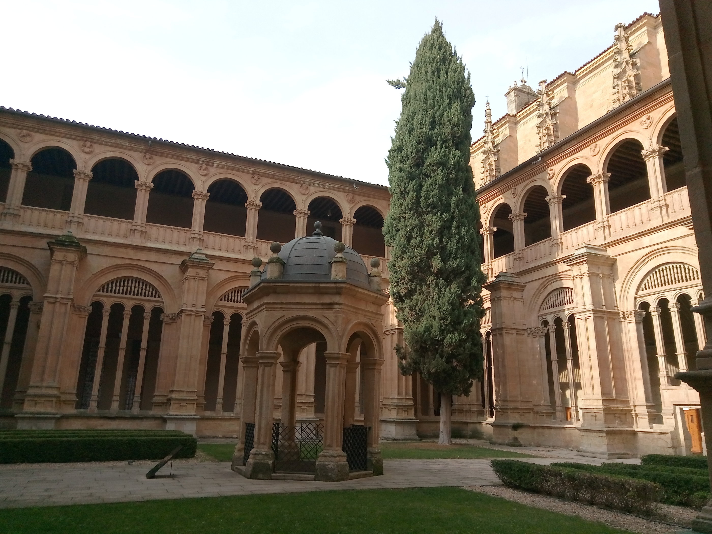 20181127_1253 P81127-125321.jpg