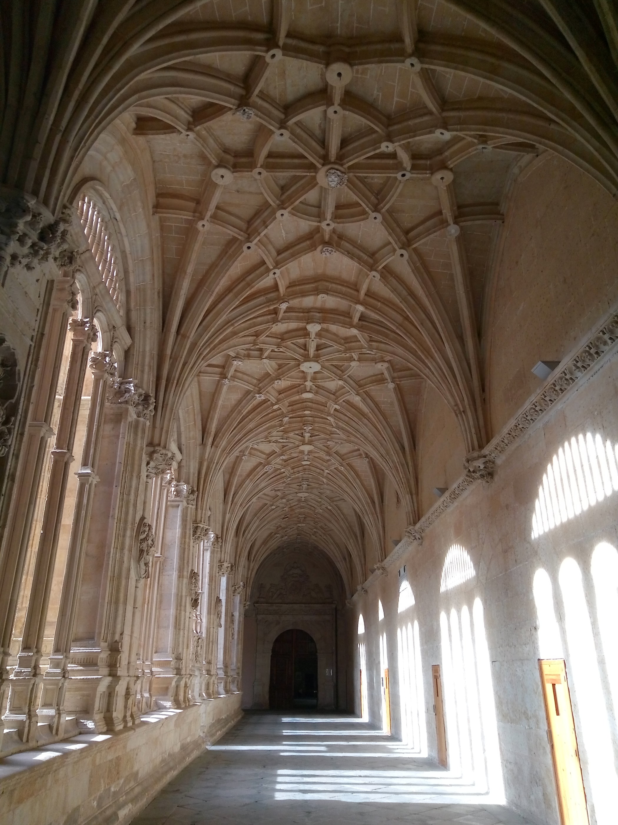 20181127_1256 P81127-125612.jpg