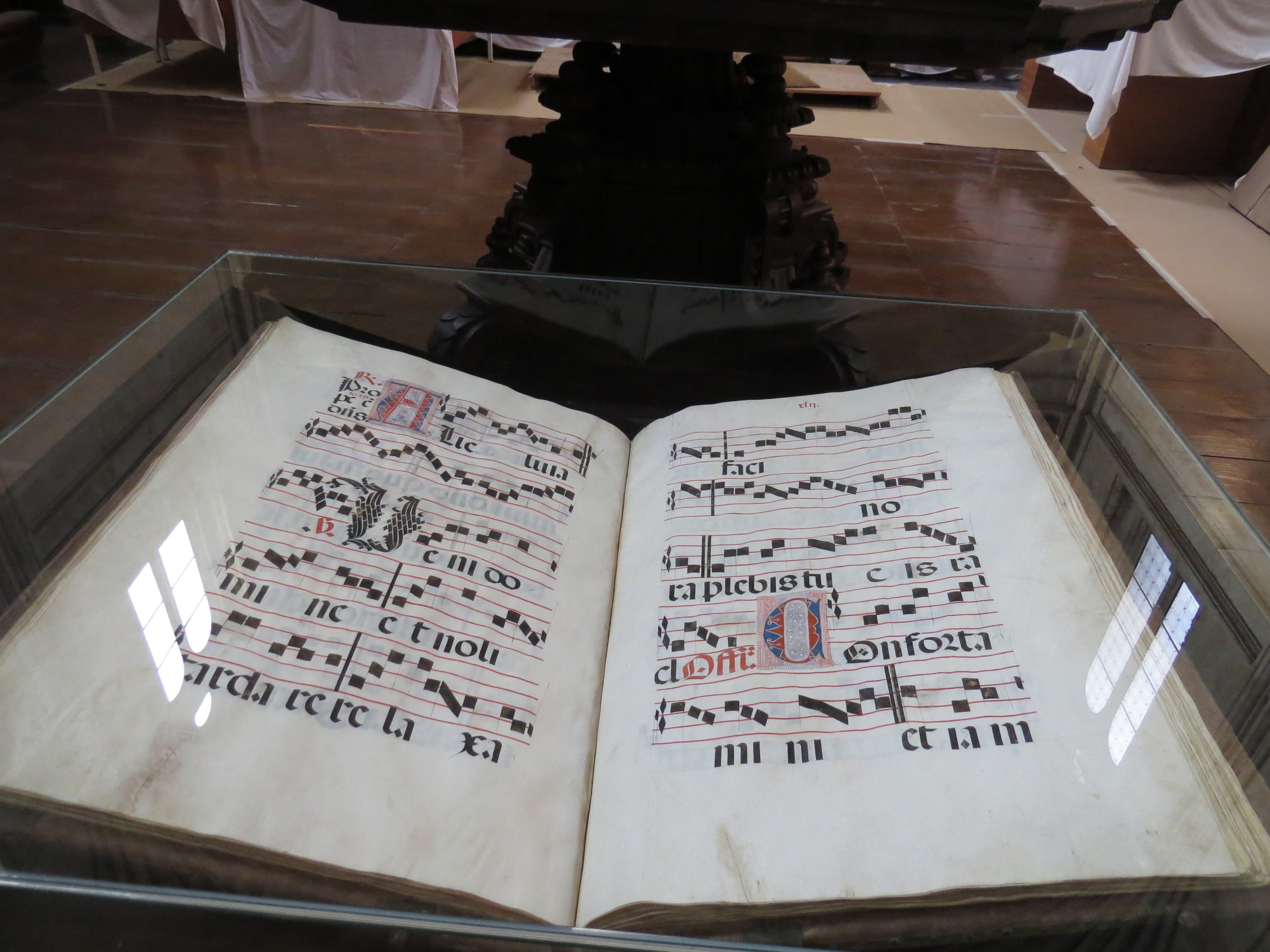 20181127_1307 IMG_4095.JPG