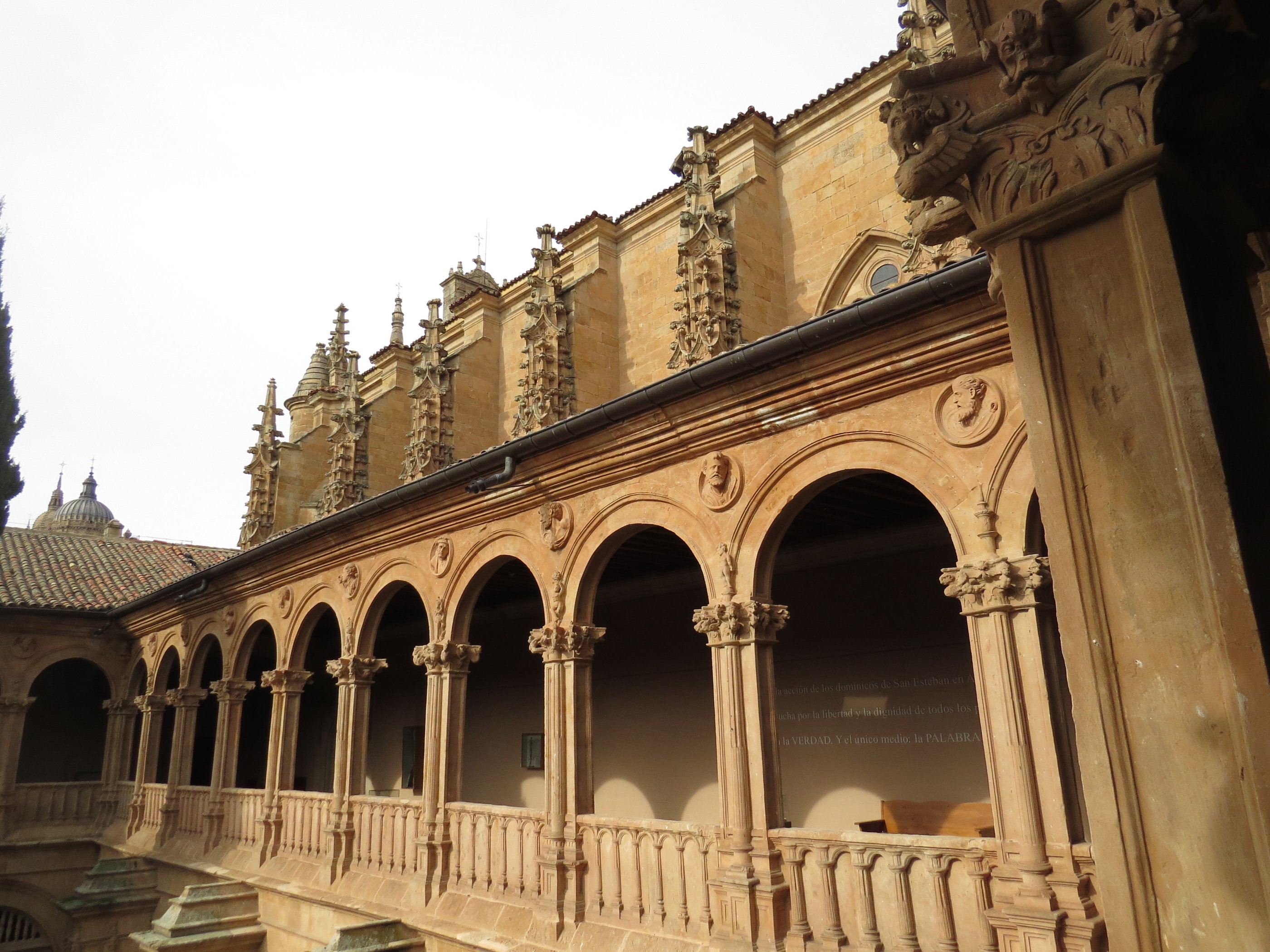 20181127_1330 IMG_4096.JPG