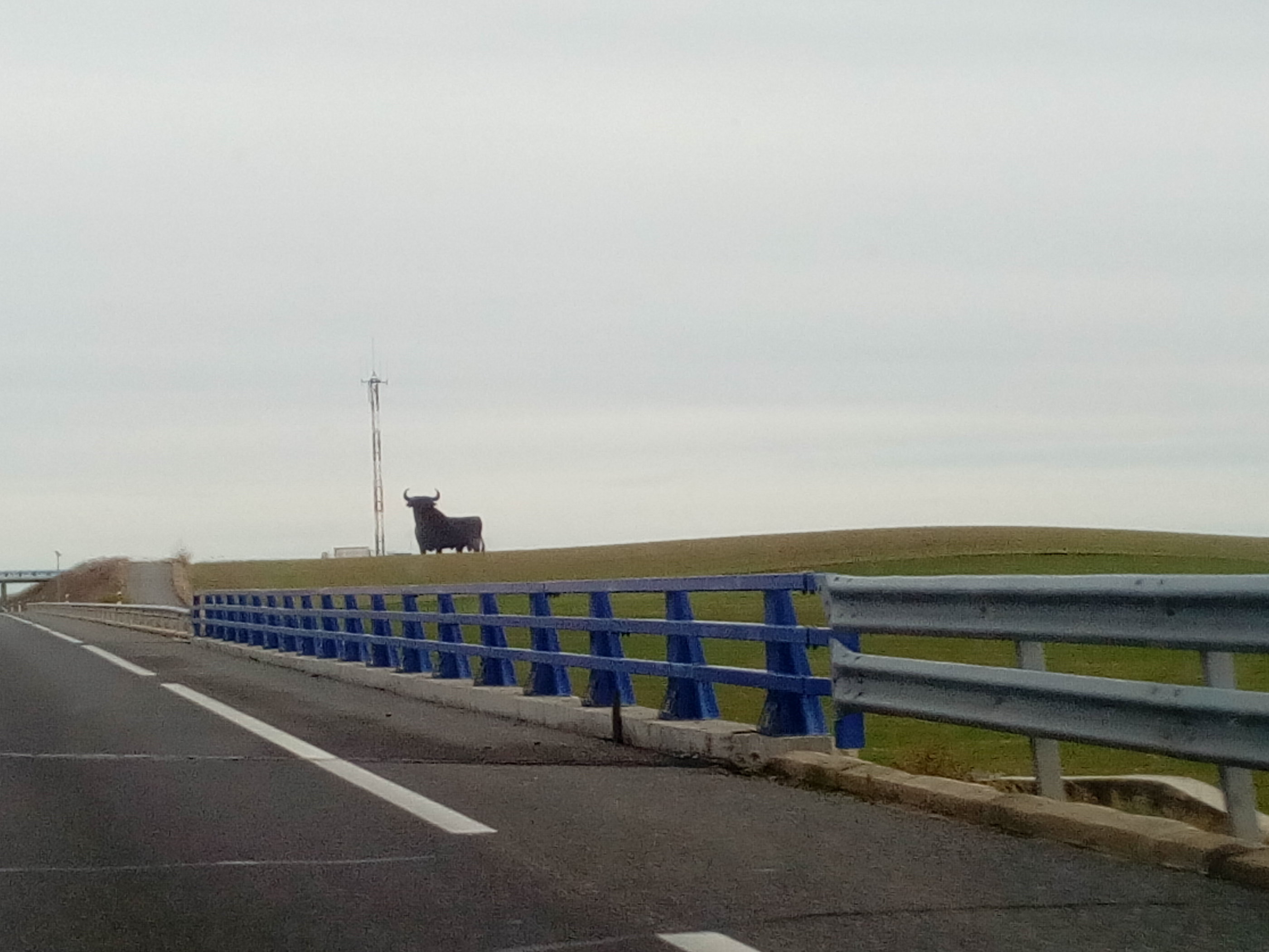 20181127_1419 IMG_20181127_161916.jpg