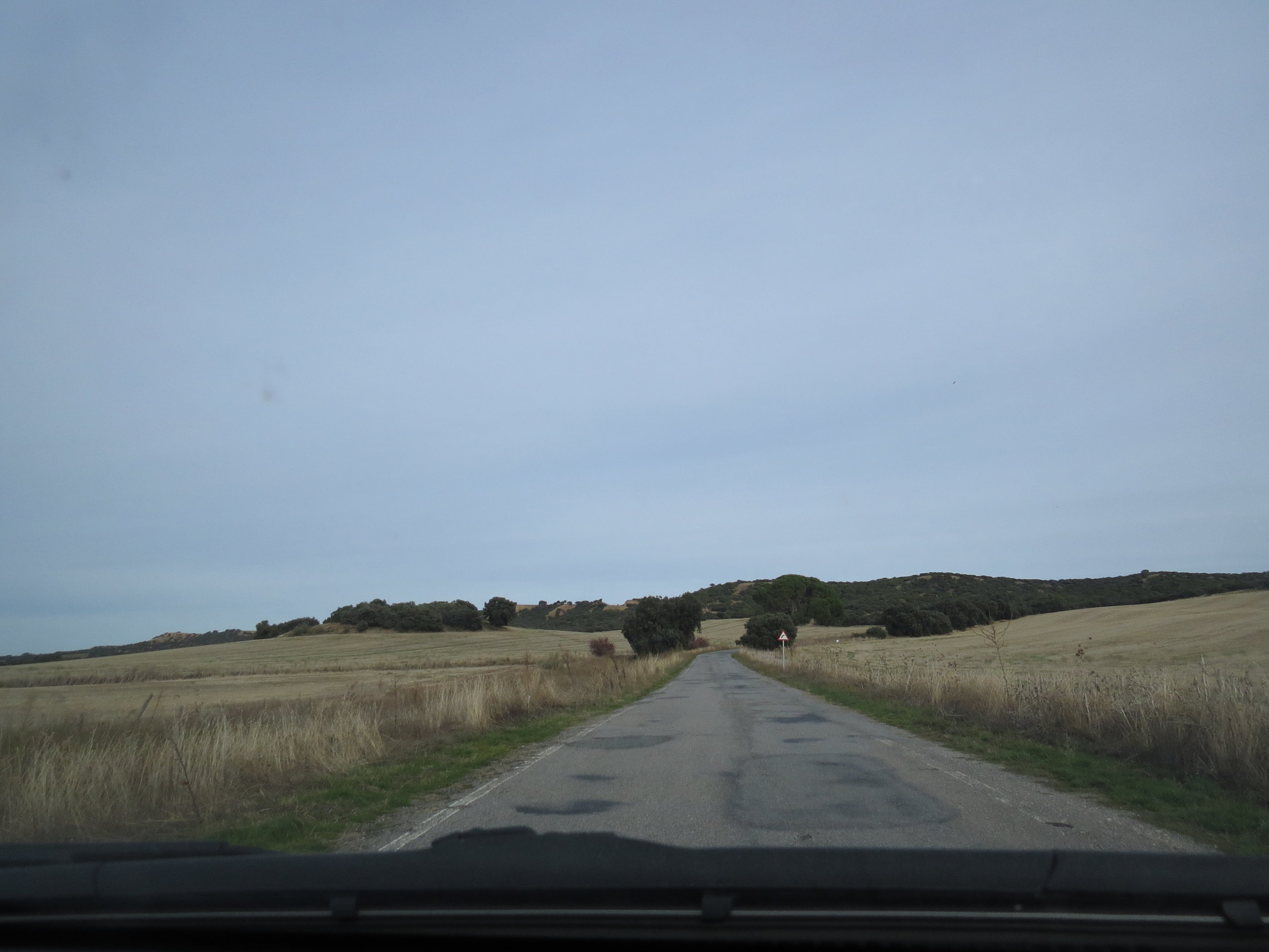 20181127_1515 IMG_4105.JPG