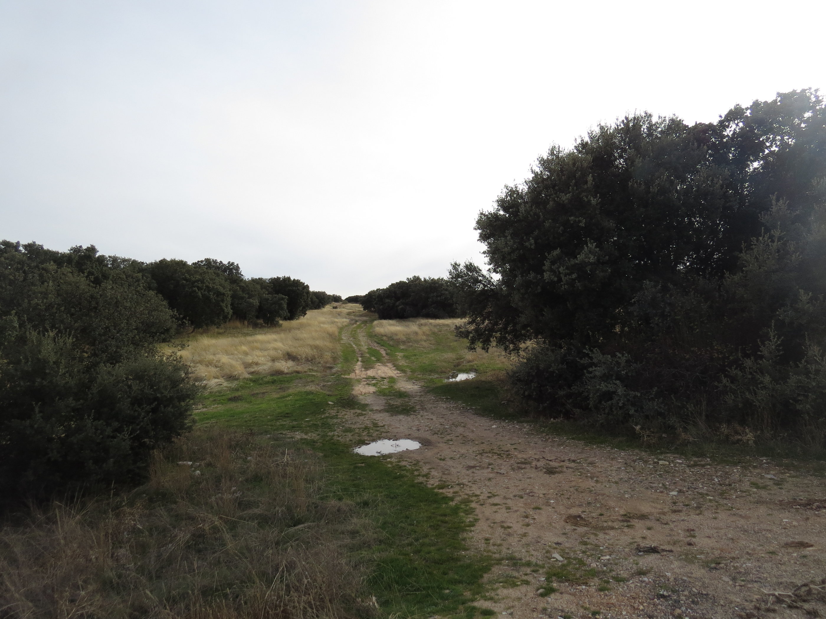 20181127_1519 IMG_4107.JPG