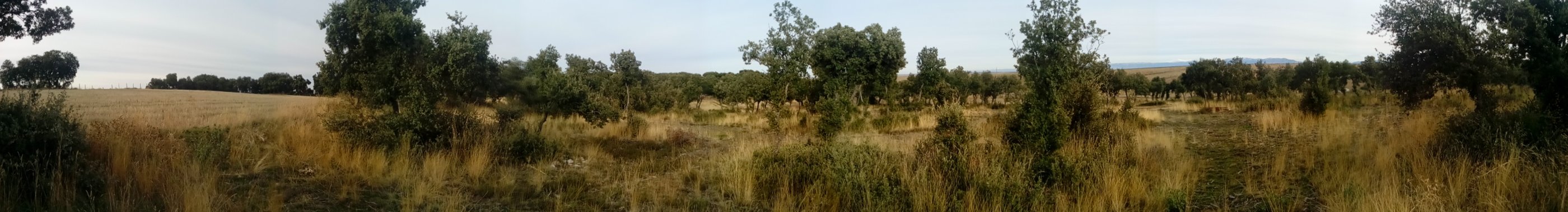 20181127_1525 IMG_20181127_172509.jpg