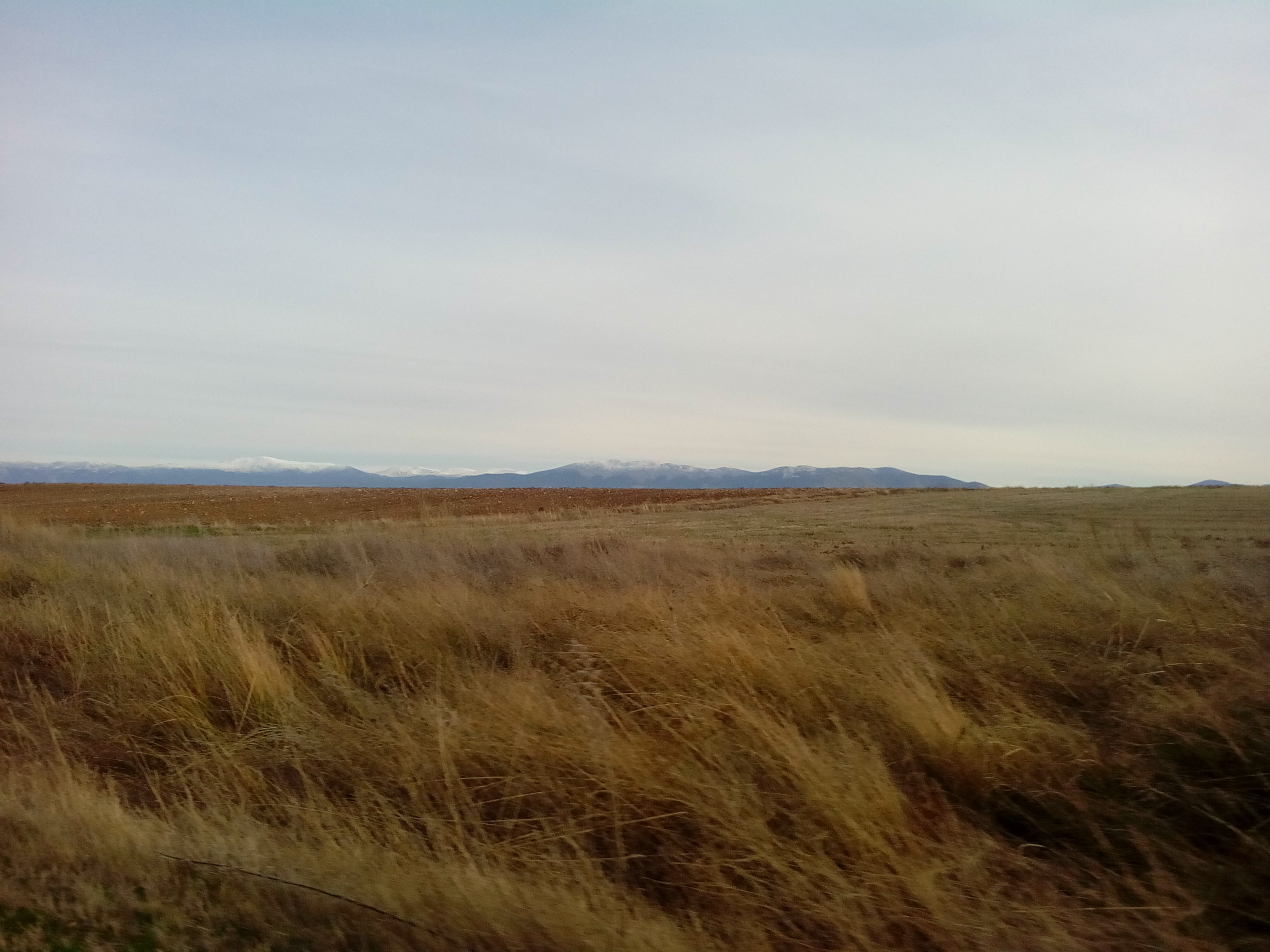 20181127_1544 IMG_20181127_174422.jpg