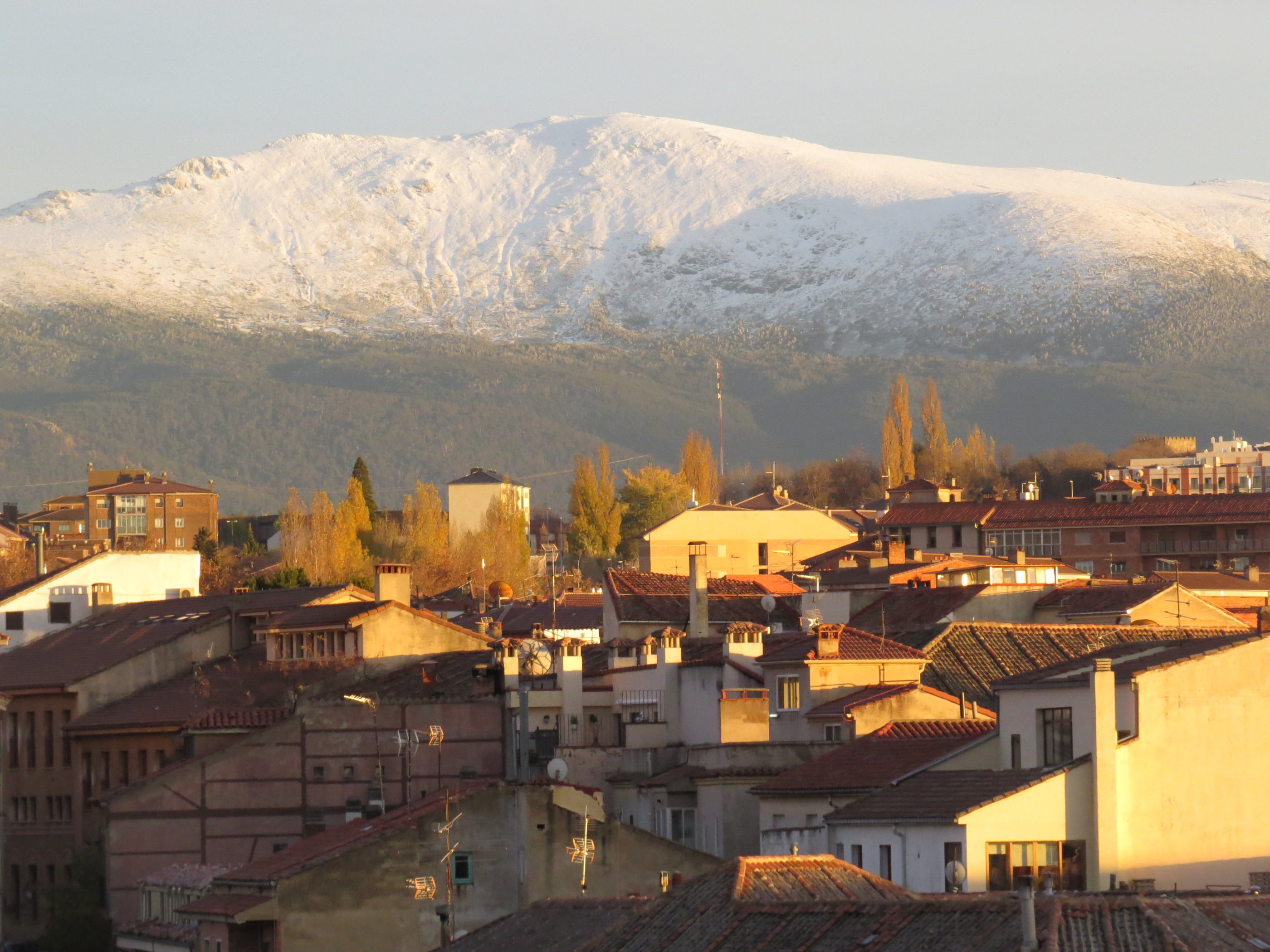 20181127_1733 IMG_4131.JPG