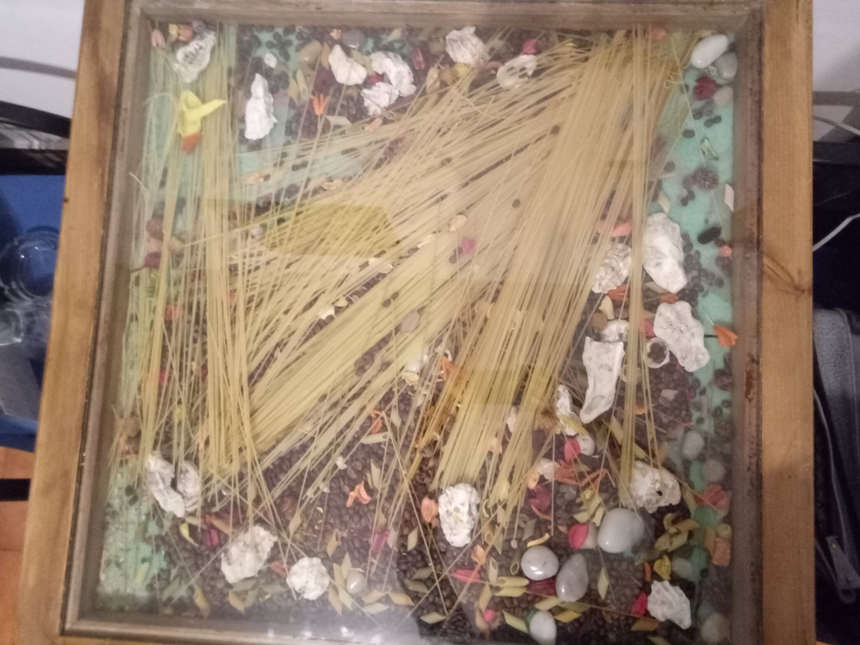 20181128_1035 P81128-103504.jpg