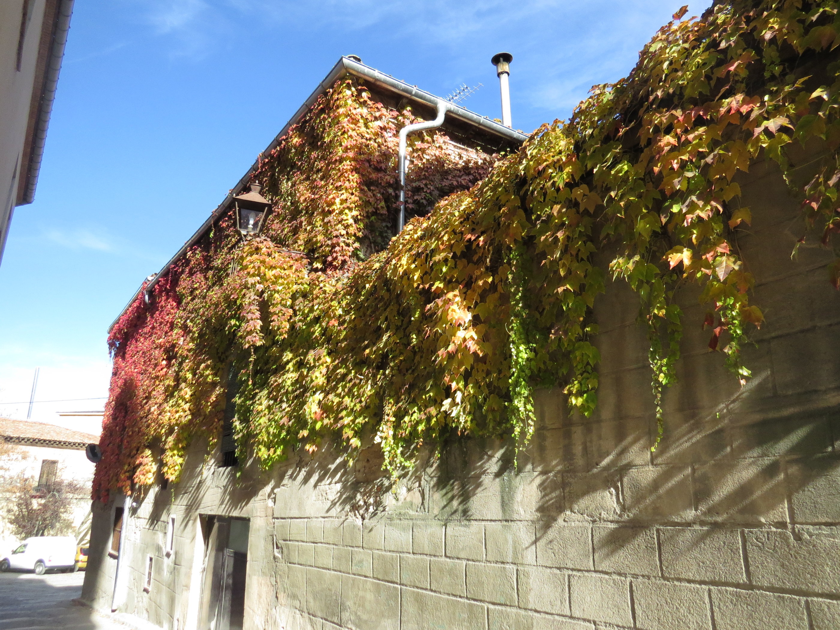 20181128_1159 IMG_4165.JPG