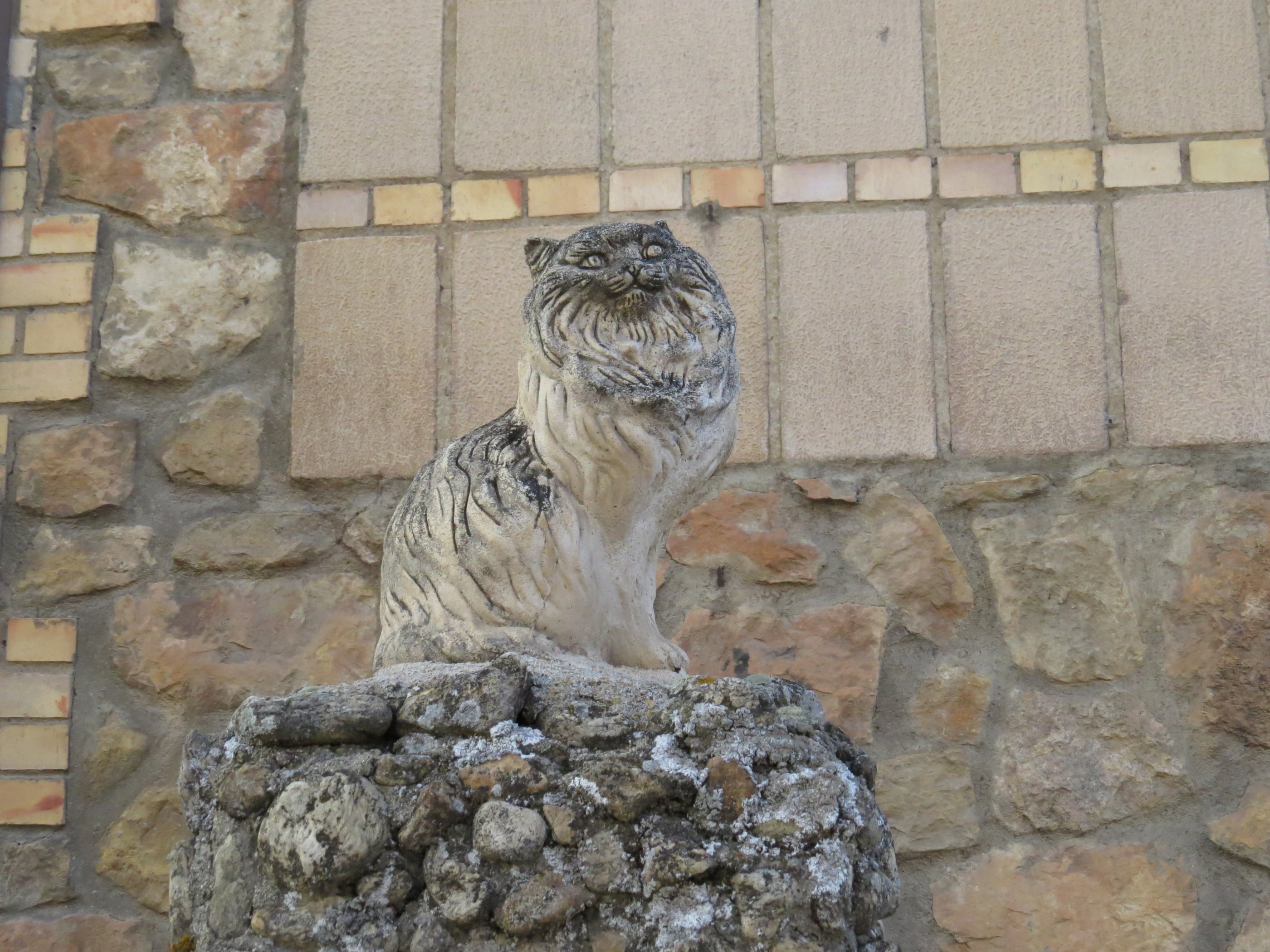 20181128_1203 IMG_4167.JPG