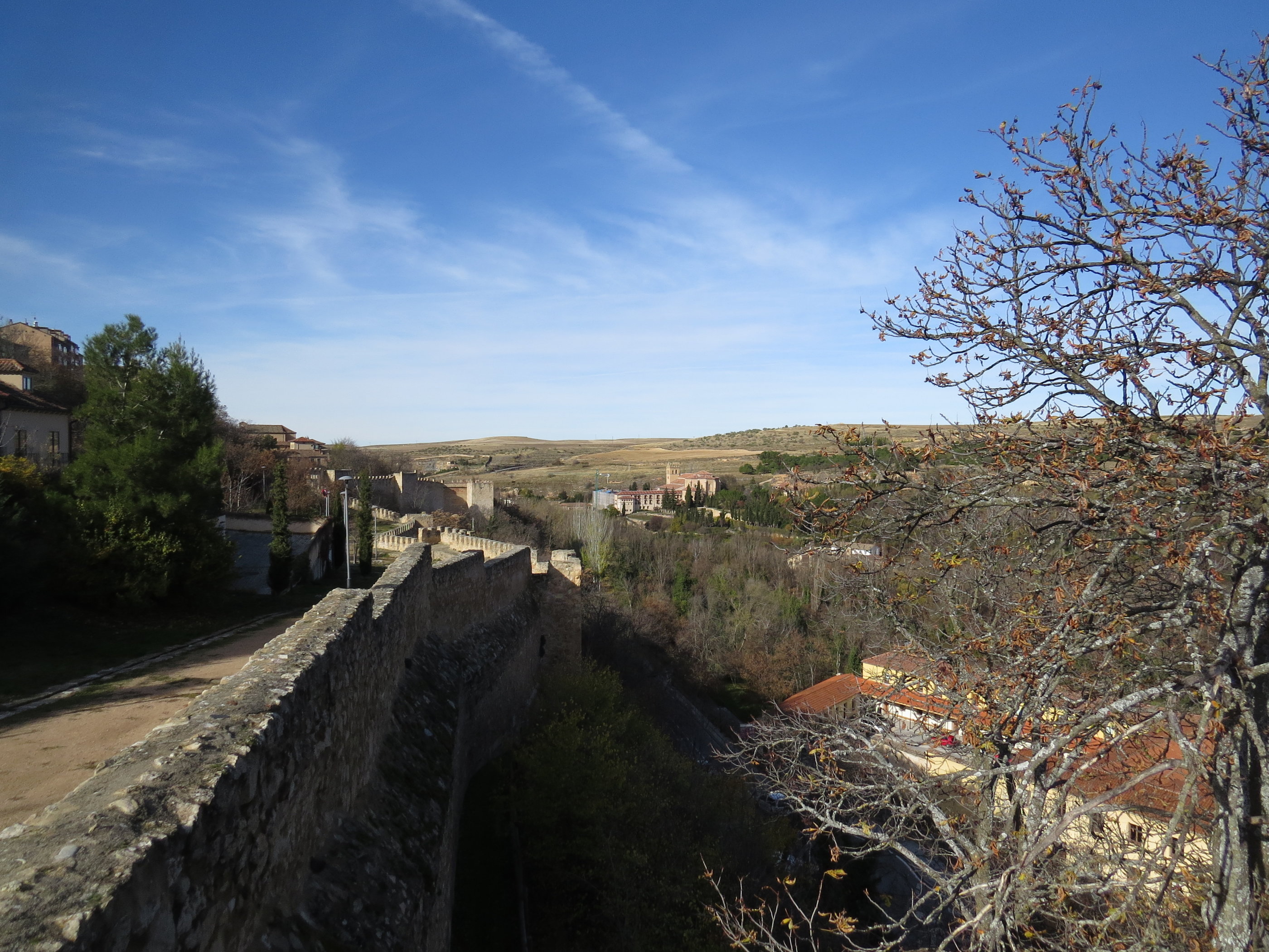 20181128_1204 IMG_4168.JPG